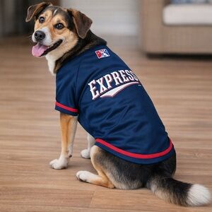 Dog Baseball Jersey- NWT Medium